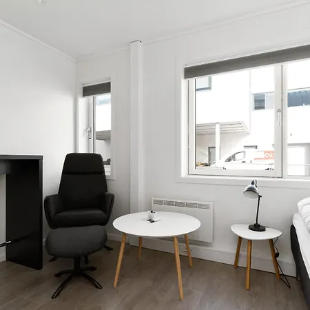 Hybelmotell Apartment Kongsberg