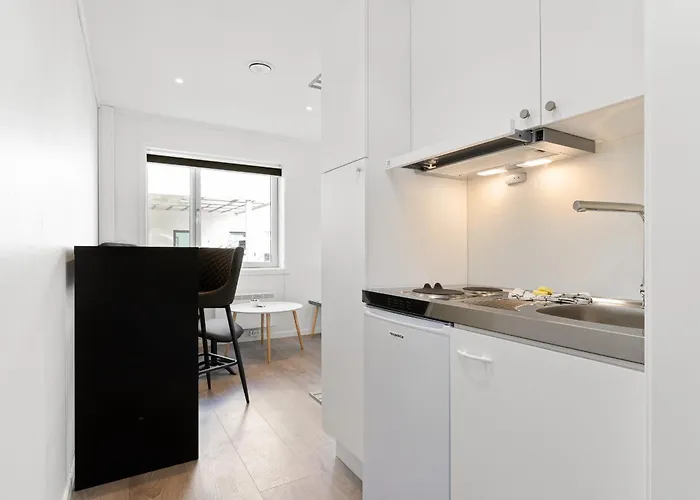 Hybelmotell Apartamento Kongsberg